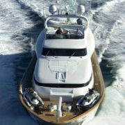 Maiora DP 31